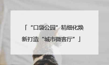 “口袋公园”精细化焕新打造“城市微客厅”